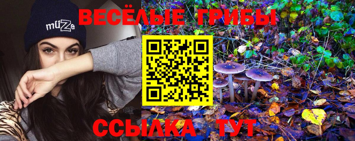 Отрадный  Псилоцибиновые грибы прущие грибы  Галлюциногенные грибы Cubensis  Вход с VPN 